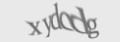 Защитный код