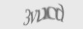 Защитный код